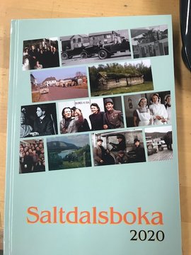 Omslag - Saltdalsboka 2020