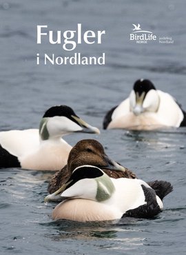 Omslag - Fugler i Nordland